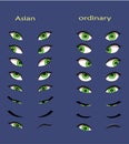 Set of female eyes. illustration for animation